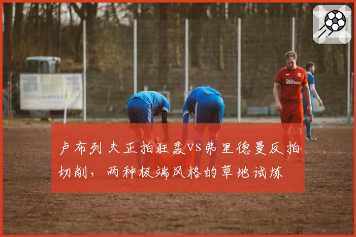 卢布列夫正拍狂轰vs弗里德曼反拍切削，两种极端风格的草地试炼