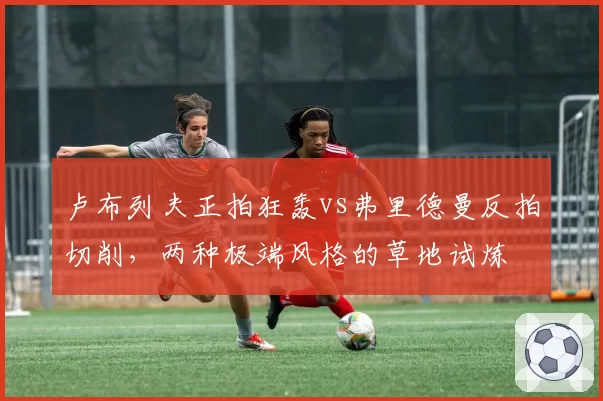卢布列夫正拍狂轰vs弗里德曼反拍切削，两种极端风格的草地试炼